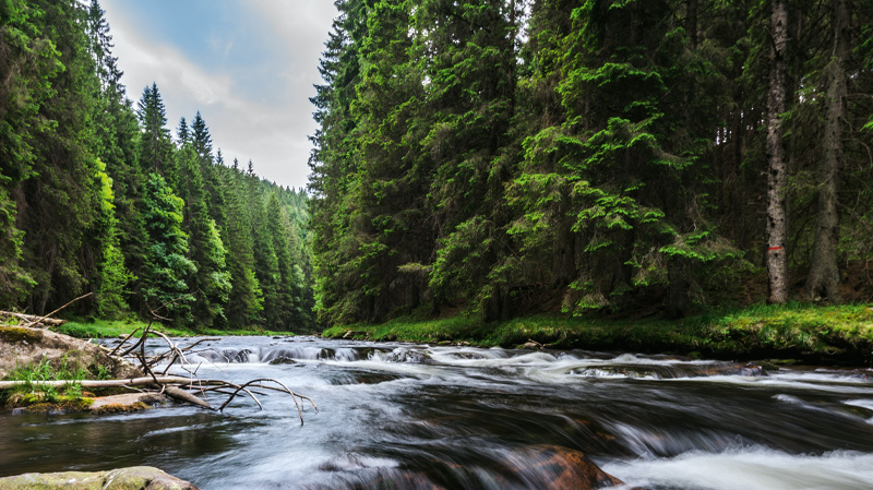 Umwelt – Perga GmbH Umwelt – Perga GmbH